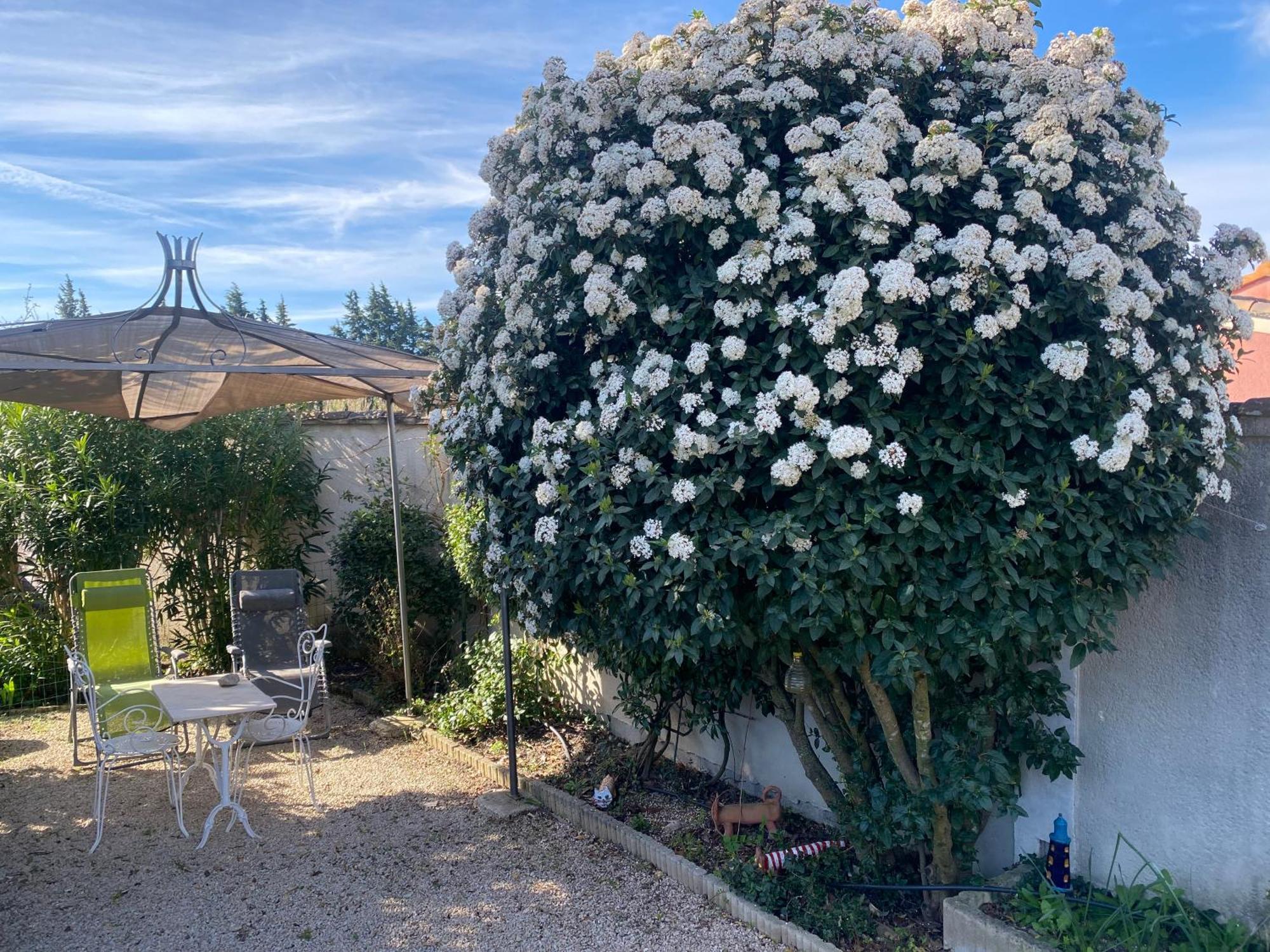La Roubine, Velleron 빌라 외부 사진